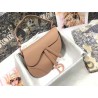 Dior Saddle Bag In Blush Ultramatte Calfskin 846