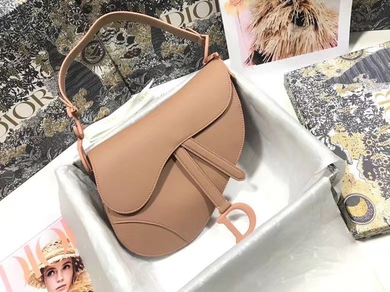 Dior Saddle Bag In Blush Ultramatte Calfskin 846