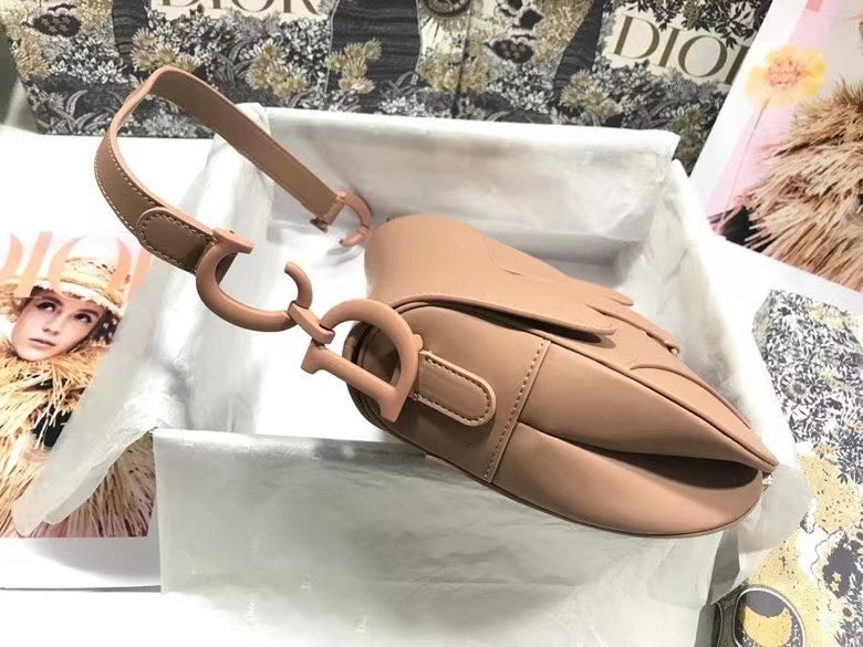 Dior Saddle Bag In Blush Ultramatte Calfskin 846