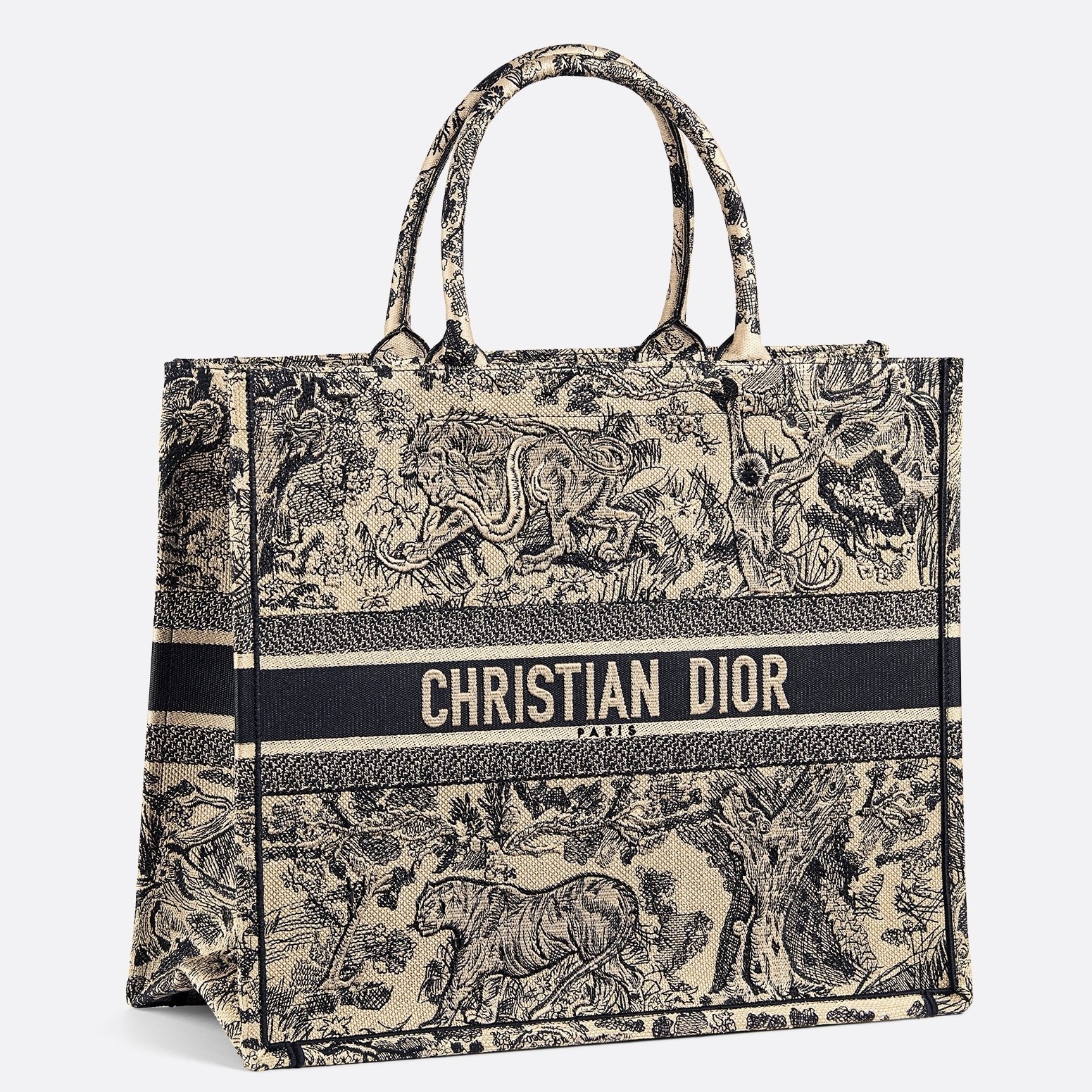 Dior Book Tote Bag In Blue Toile De Jouy Canvas 698