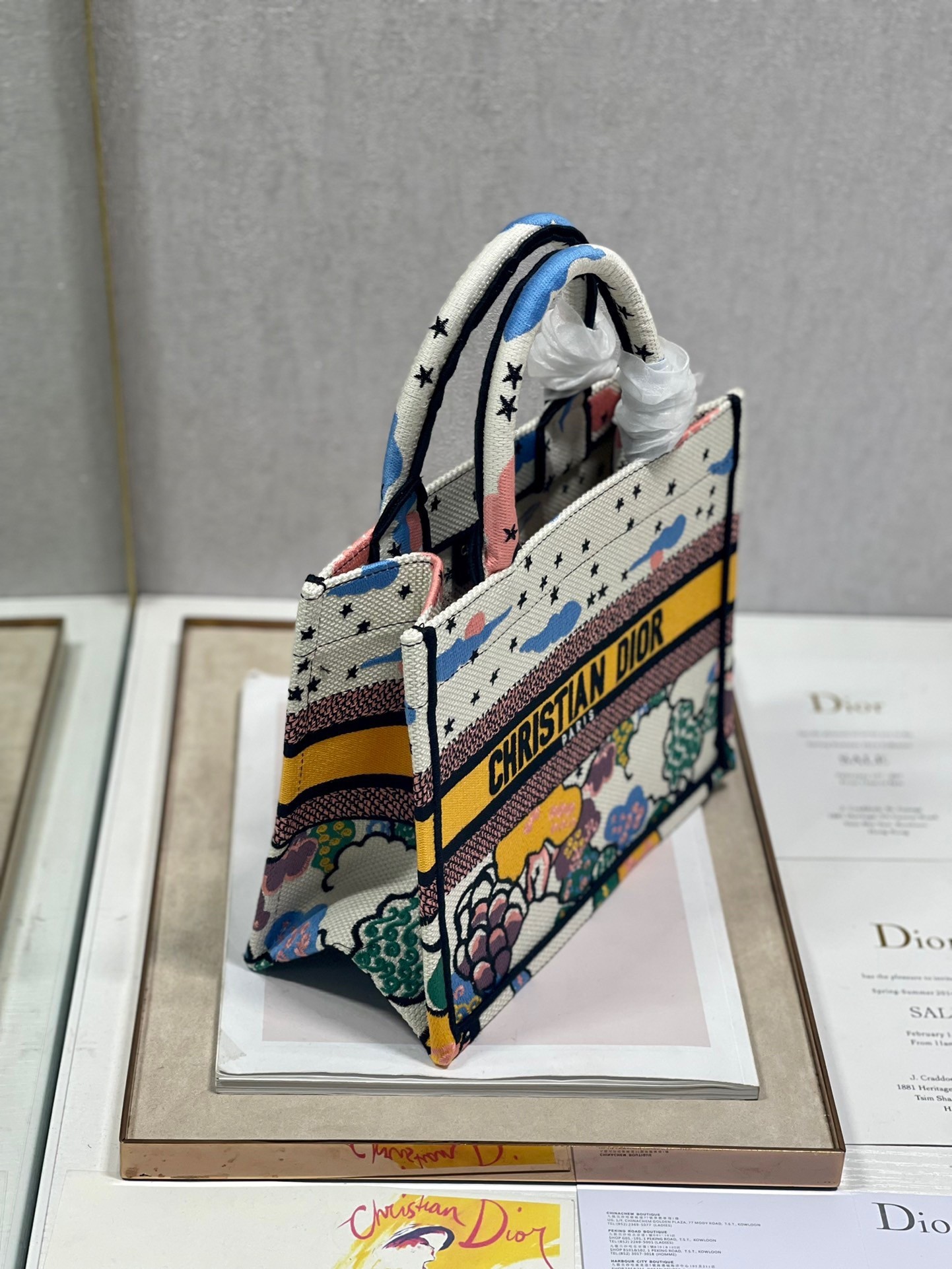 Dior Small Book Tote Bag In Ciel de Reve Embroidery 123