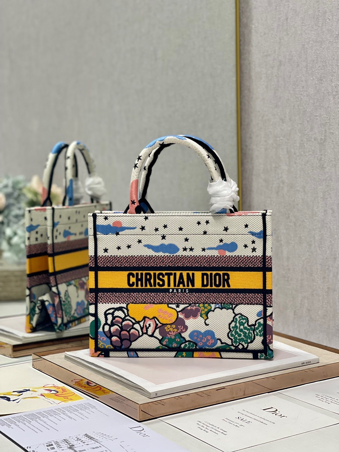 Dior Small Book Tote Bag In Ciel de Reve Embroidery 123