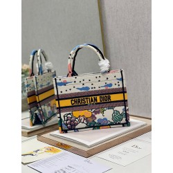 Dior Small Book Tote Bag In Ciel de Reve Embroidery 123