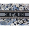 Dior Medium Book Tote In Blue Zodiac Fantastico Embroidery 178