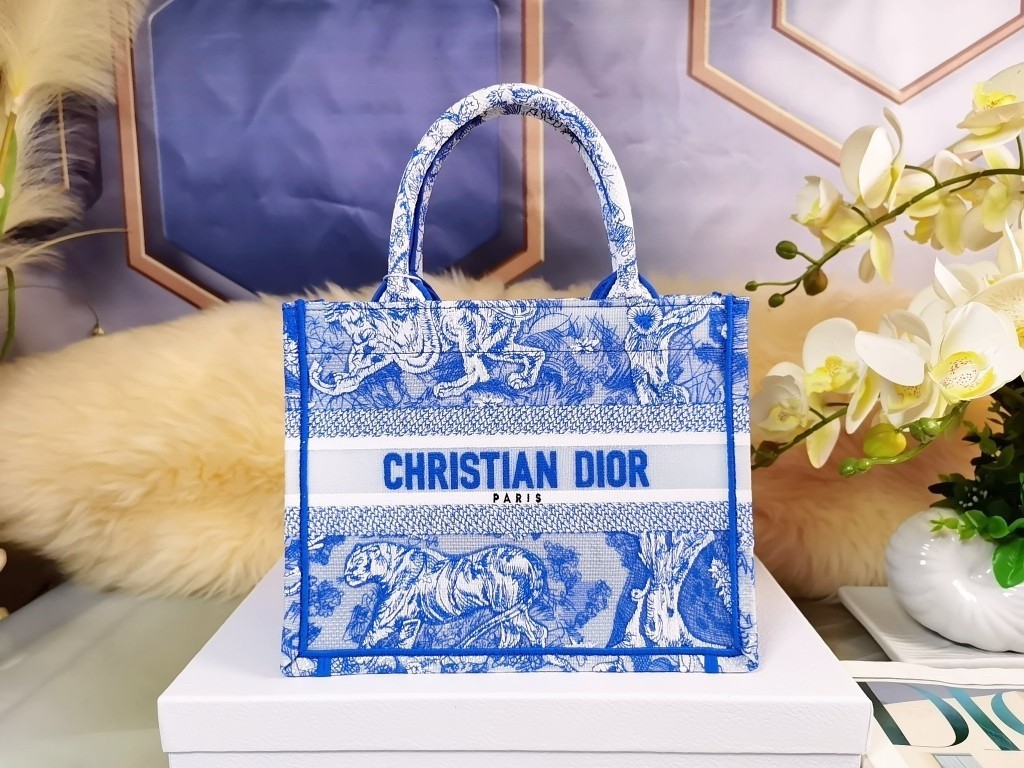 Dior Small Book Tote Bag In Blue Transparent Toile de Jouy Canvas 319