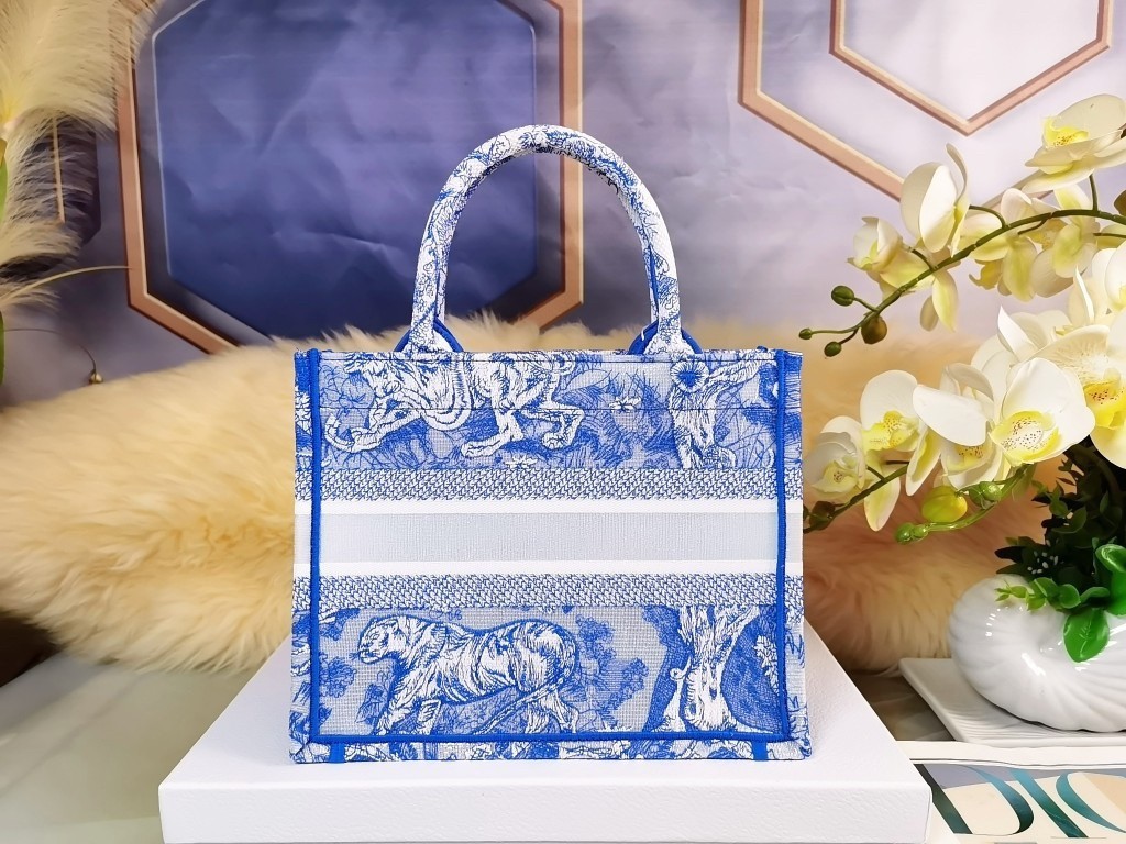 Dior Small Book Tote Bag In Blue Transparent Toile de Jouy Canvas 319