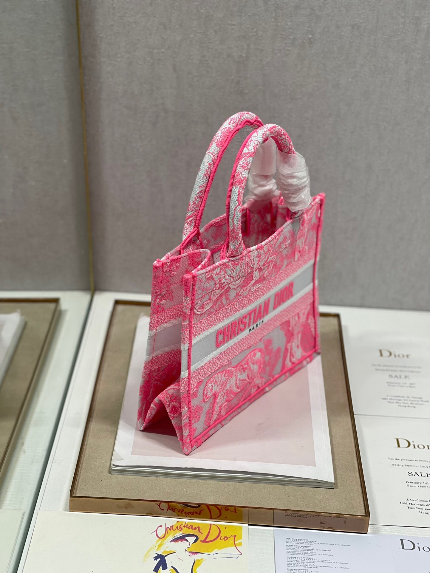 Dior Small Book Tote Bag In Pink Transparent Toile de Jouy Canvas 355