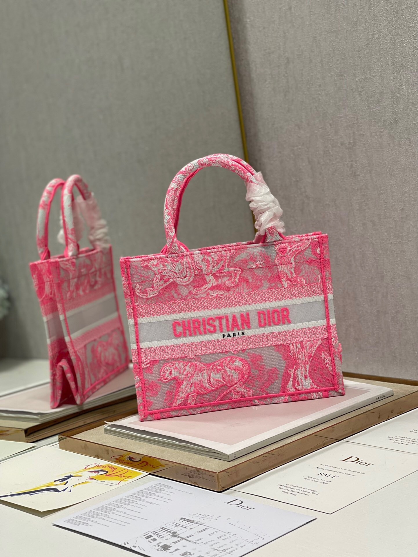 Dior Small Book Tote Bag In Pink Transparent Toile de Jouy Canvas 355