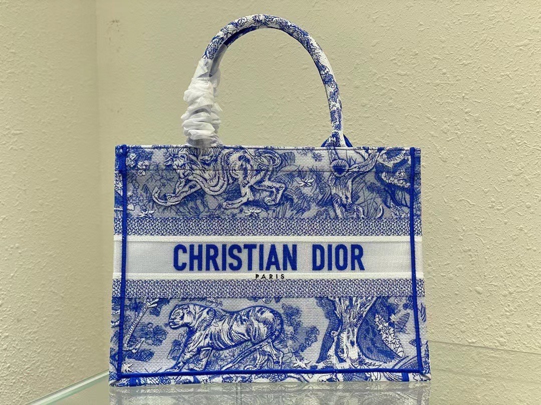 Dior Medium Book Tote Bag In Blue Transparent Toile de Jouy Canvas 488