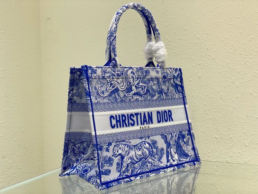 Dior Medium Book Tote Bag In Blue Transparent Toile de Jouy Canvas 488