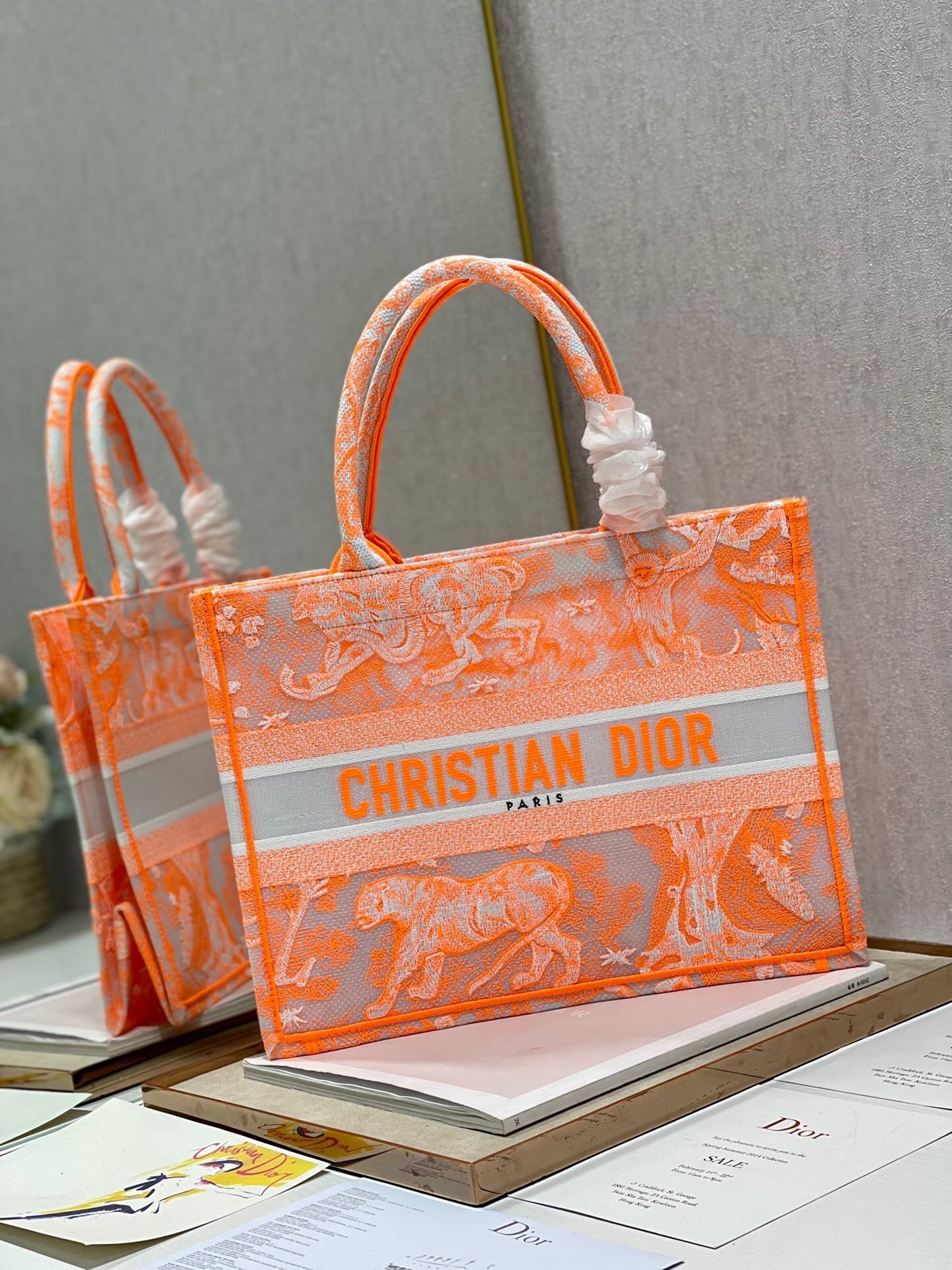 Dior Medium Book Tote Bag In Orange Transparent Toile de Jouy Canvas 514