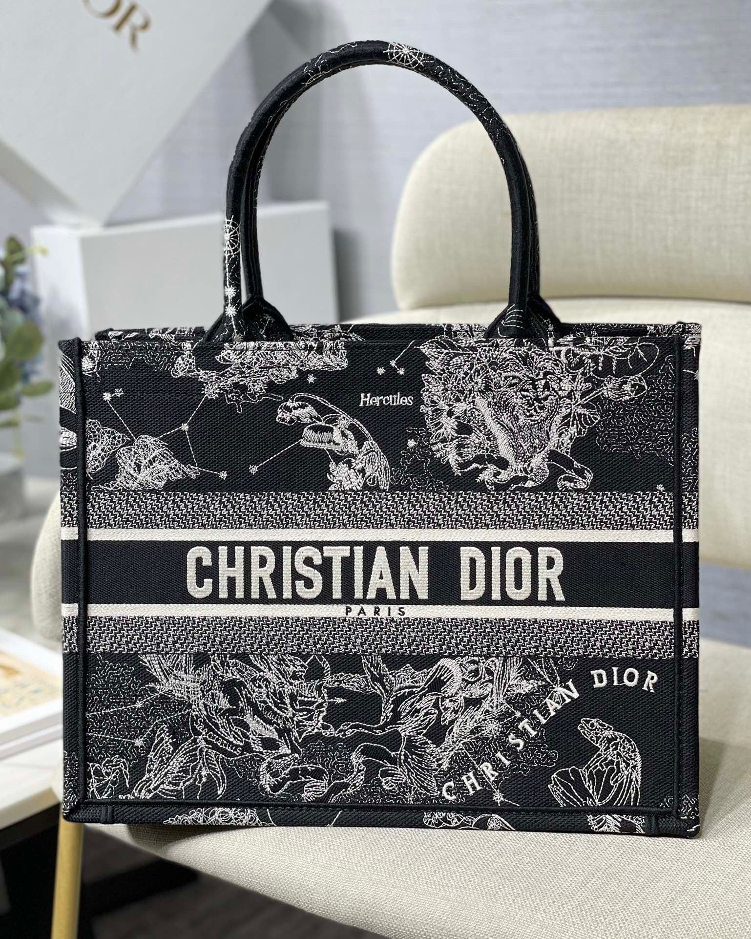 Dior Medium Book Tote Bag In Black Toile de Jouy Zodiac Embroidery 589