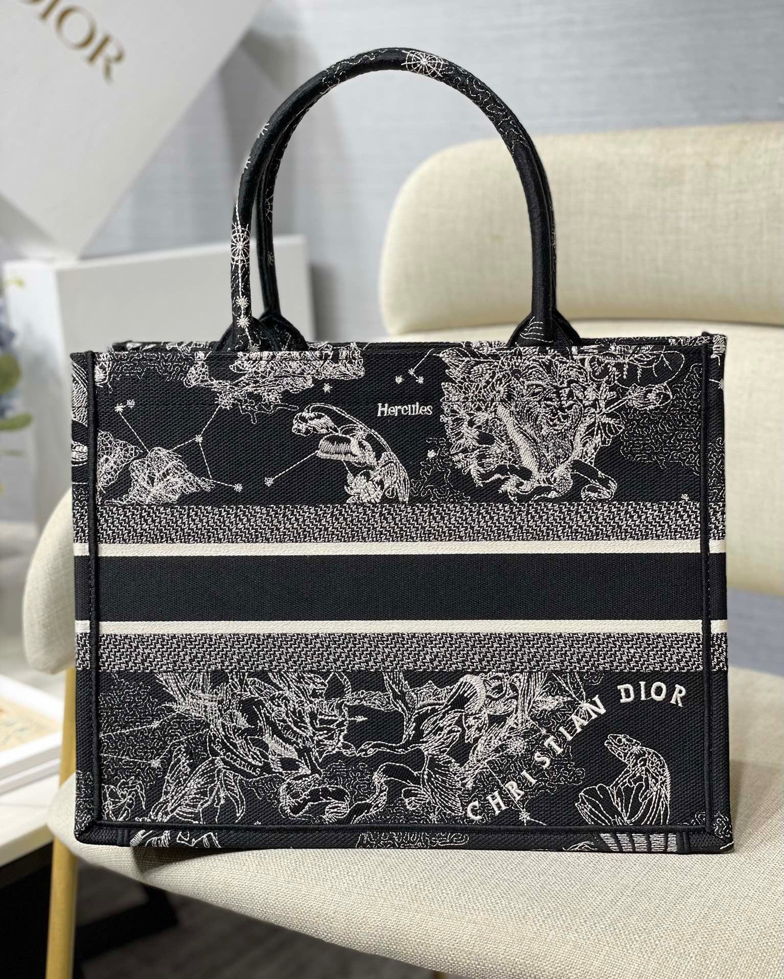 Dior Medium Book Tote Bag In Black Toile de Jouy Zodiac Embroidery 589