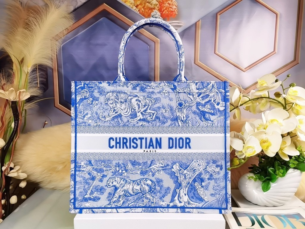 Dior Large Book Tote Bag In Blue Transparent Toile de Jouy Canvas 659