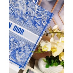 Dior Large Book Tote Bag In Blue Transparent Toile de Jouy Canvas 659