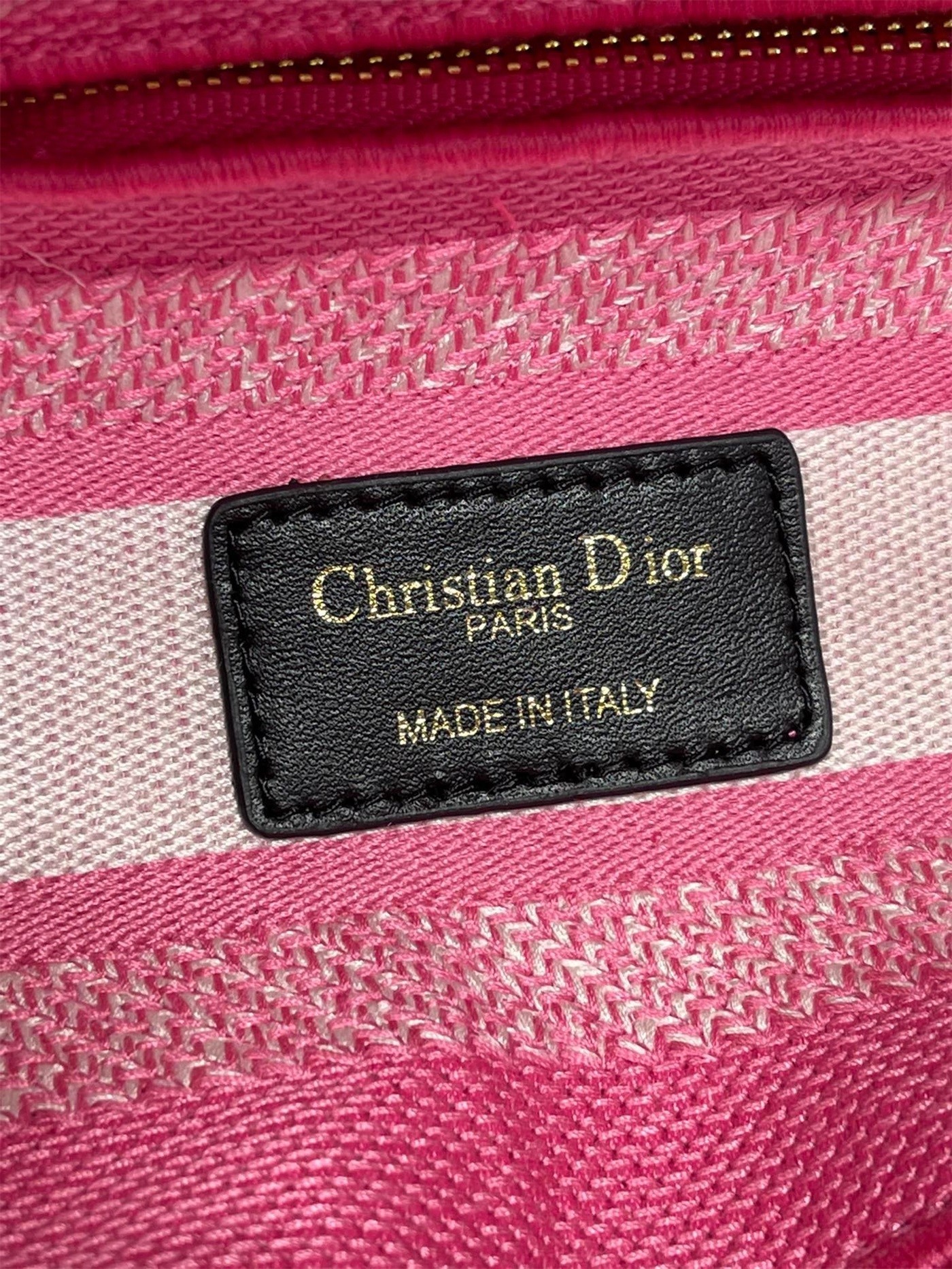 Dior Medium Lady D-Lite Bag In Fluorescent Pink Toile de Jouy Reverse Embroidery 650