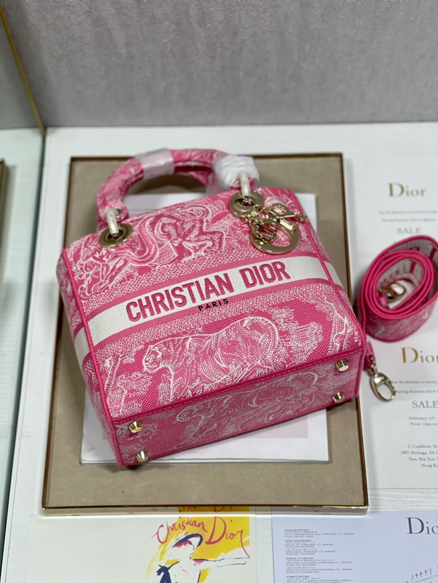 Dior Medium Lady D-Lite Bag In Fluorescent Pink Toile de Jouy Reverse Embroidery 650