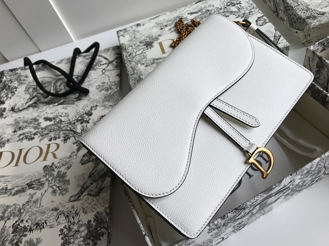 Dior Saddle Pouch In White Grained Calskin  462