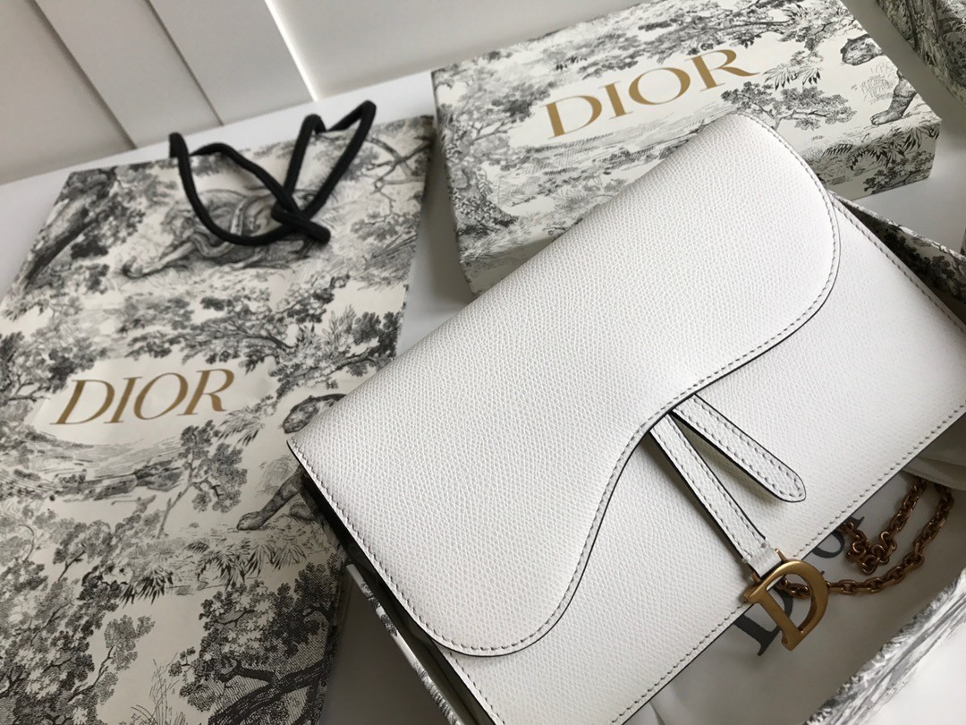 Dior Saddle Pouch In White Grained Calskin  462