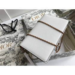 Dior Saddle Pouch In White Grained Calskin  462