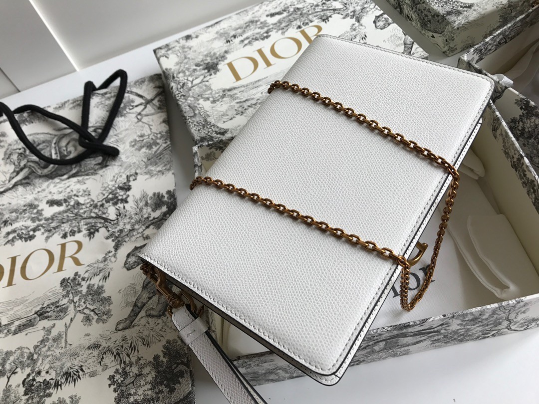 Dior Saddle Pouch In White Grained Calskin  462