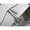 Dior Saddle Pouch In White Grained Calskin  462