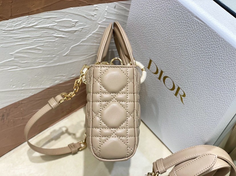 Dior Lady D-Joy Small Bag In Hazelnut Cannage Lambskin 250