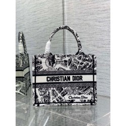 Dior Small Book Tote Bag In White Plan de Paris Embroidery 629