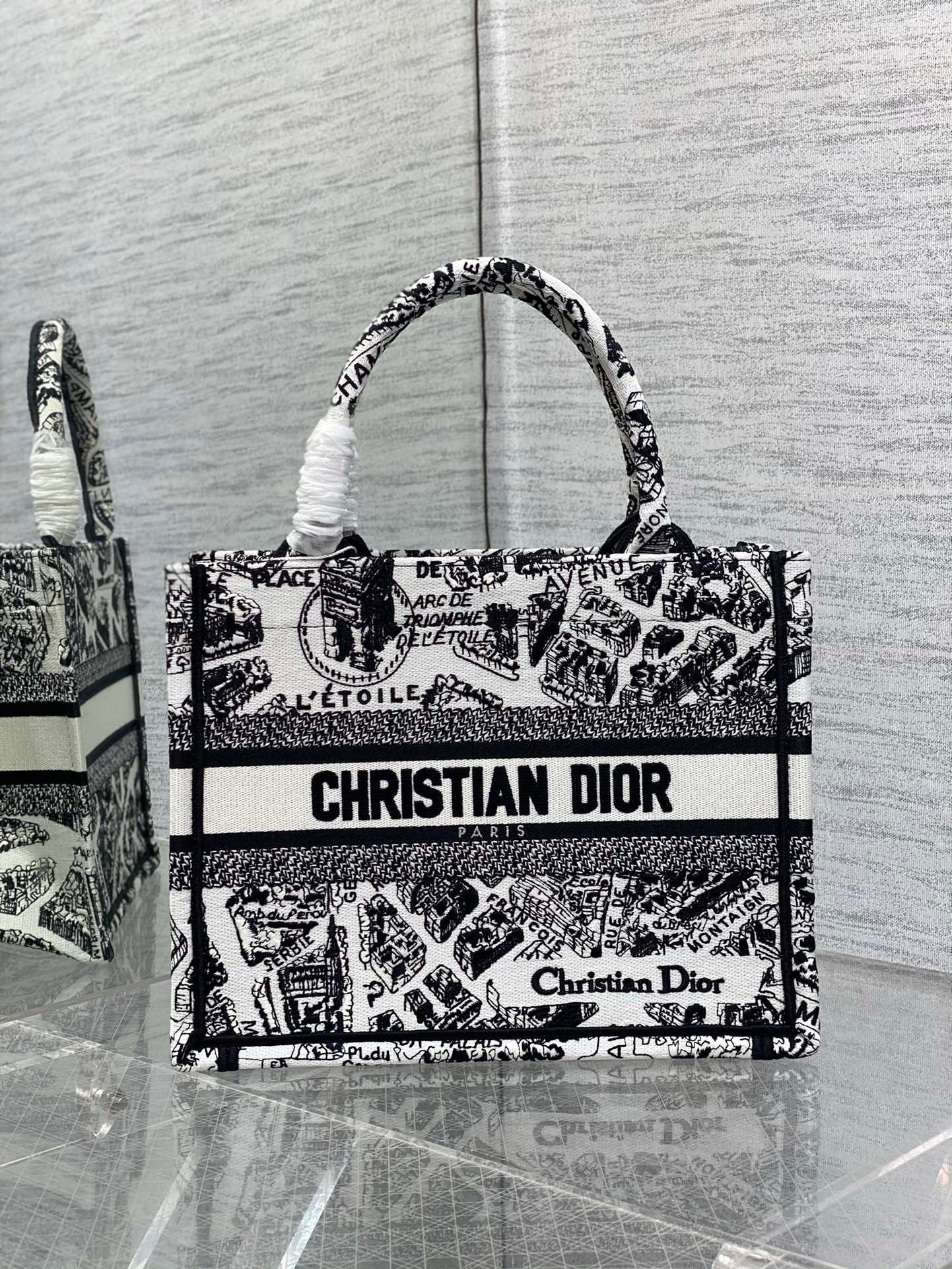 Dior Small Book Tote Bag In White Plan de Paris Embroidery 629