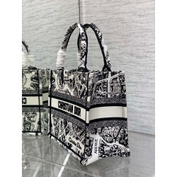 Dior Small Book Tote Bag In White Plan de Paris Embroidery 629