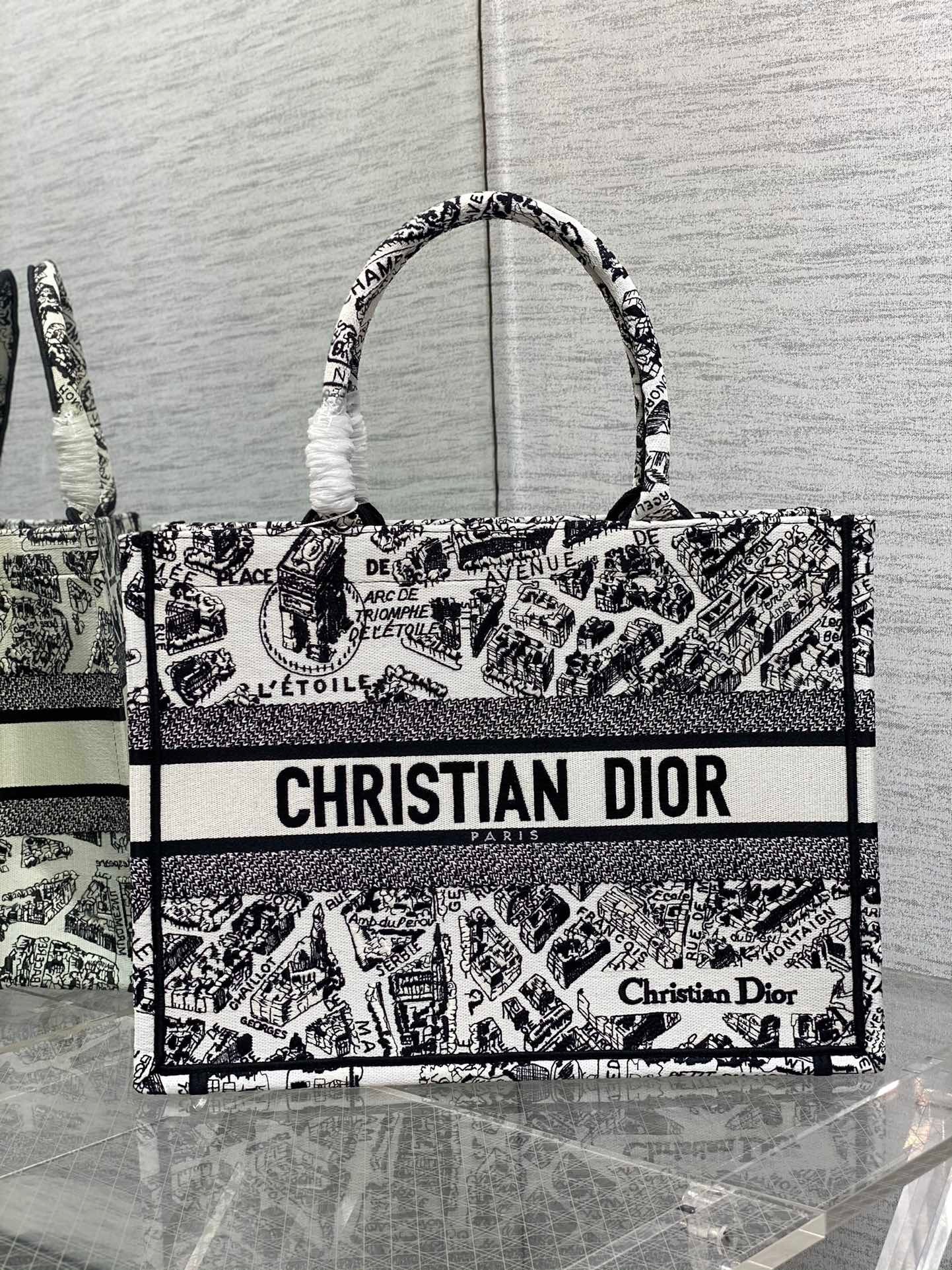 Dior Medium Book Tote Bag In White Plan de Paris Embroidery  720