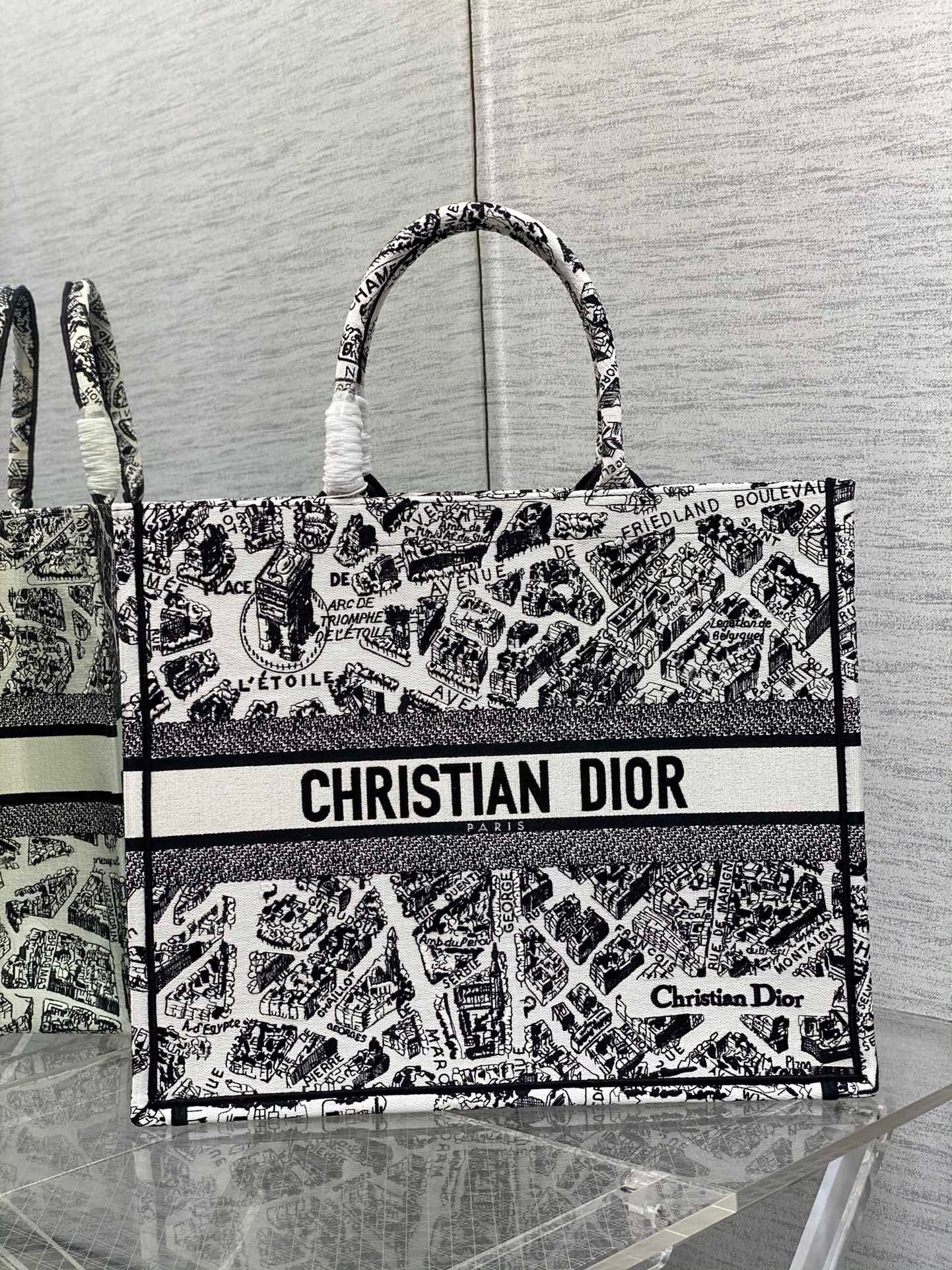 Dior Large Book Tote Bag In White Plan de Paris Embroidery 782