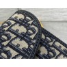 Dior Bobby East-West Chain Pouch in Blue Oblique Jacquard 280