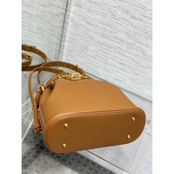 Dior C'est Medium Bag in Brown Saddle Calfskin 305