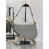 Dior Saddle Bag with Strap in Grey Stone Grained Calfskin 622