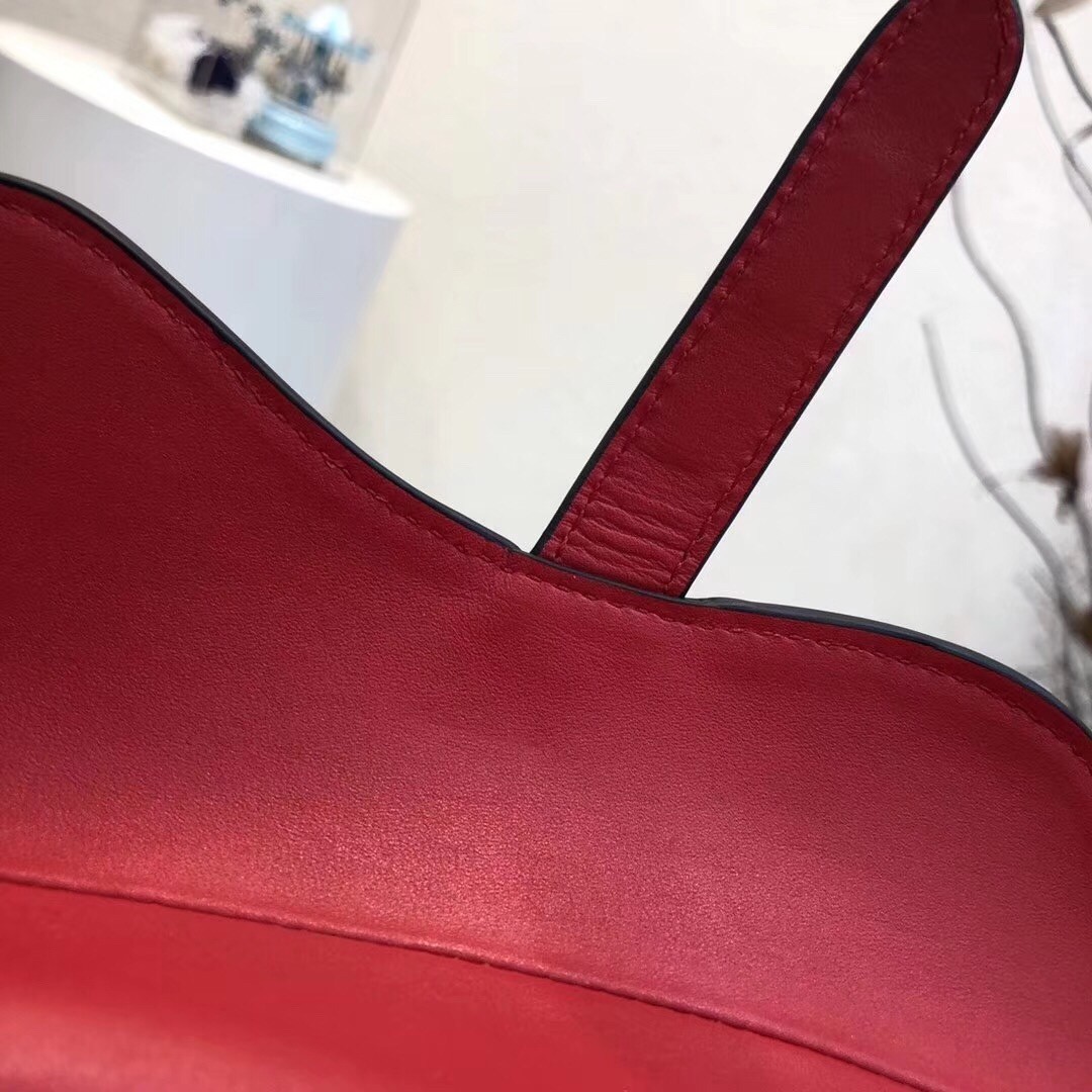 Dior Mini Saddle Bag In Red Calfskin 675