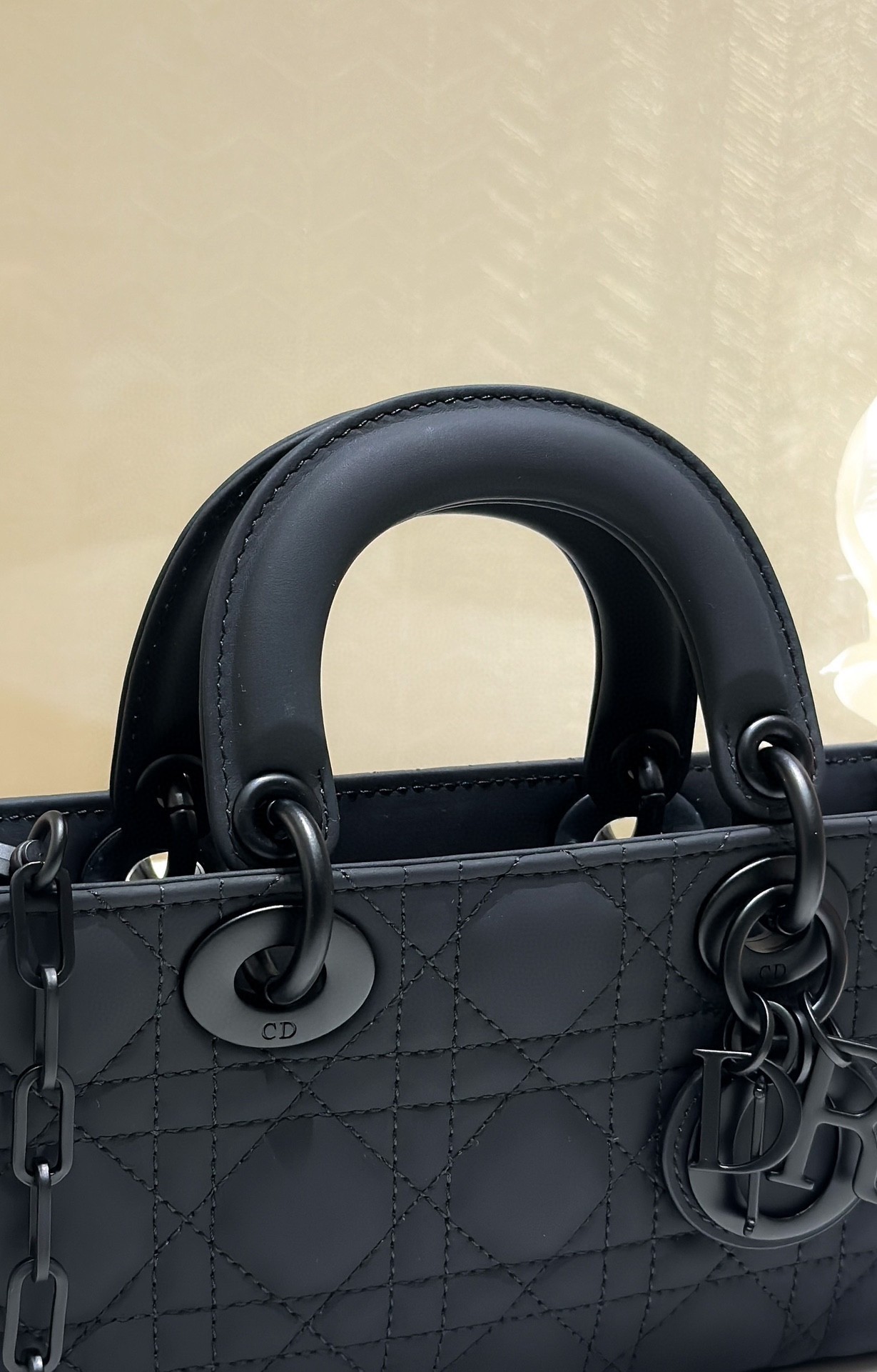 Dior Lady D-Joy Small Bag in Black Ultramatte Calfskin 011