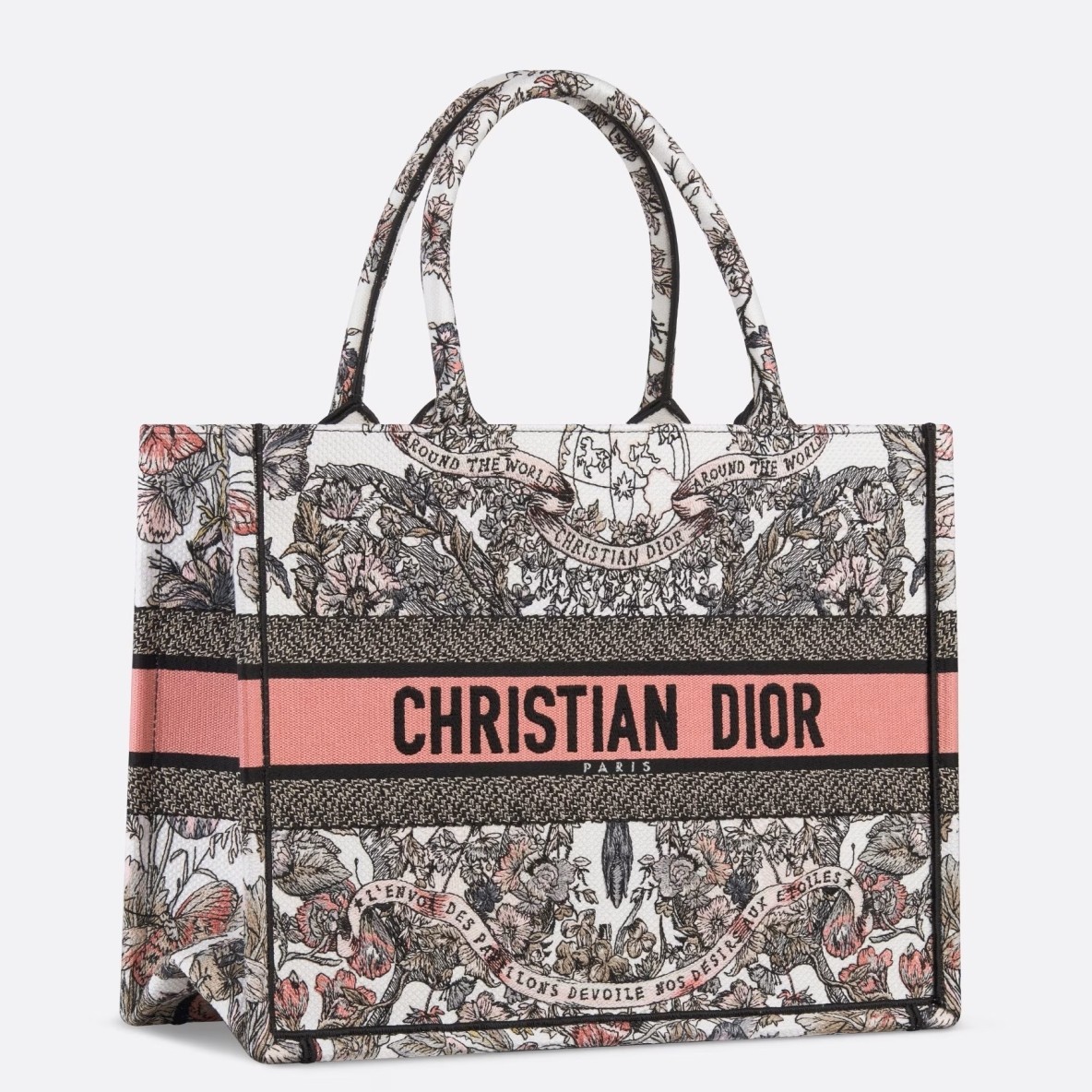 Dior Medium Book Tote Bag in Butterfly Around The World Embroidery 264