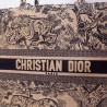 Dior Book Tote Bag In Blue Toile De Jouy Canvas 348